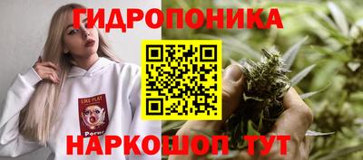 мдпв Новокубанск